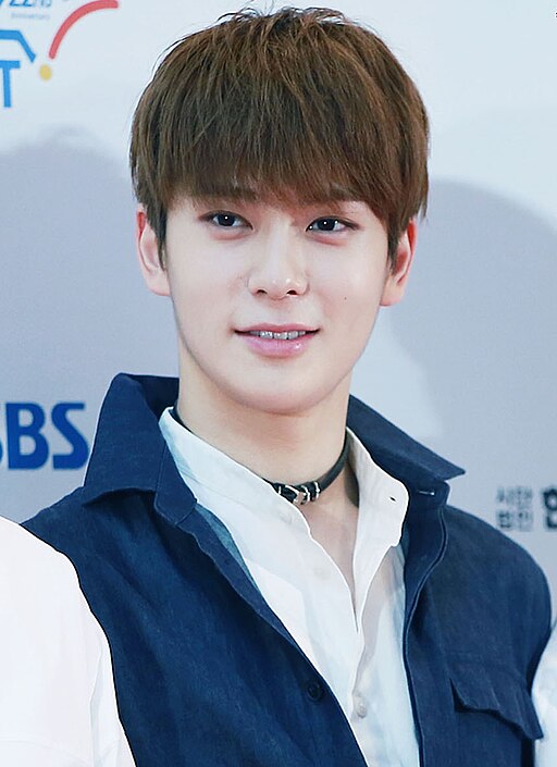 Jaehyun of NCT at the Dream Concert 2016