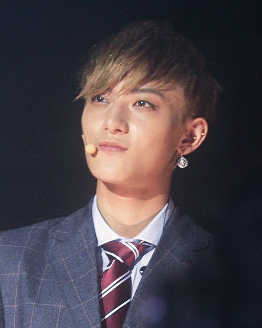 Tao performing at MTV World Stage Malaysia, 2013